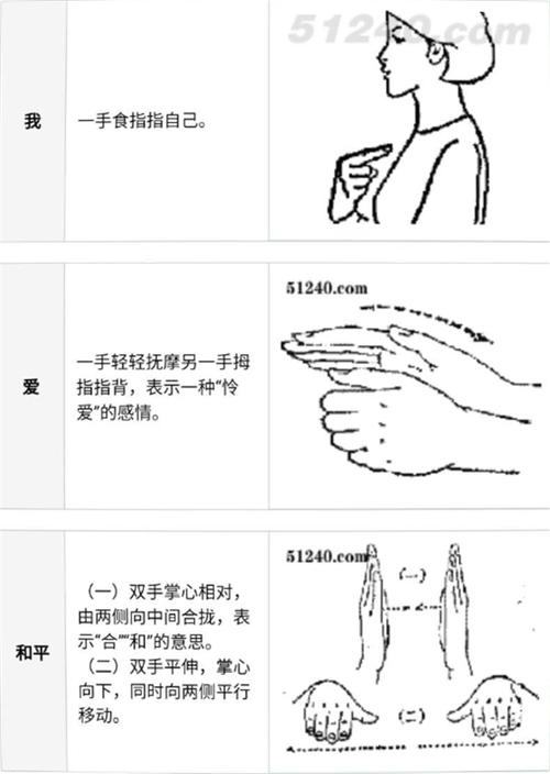 国际和平日温州翔宇初中师生一起学手语