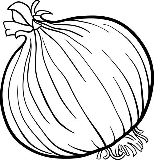 洋葱蔬菜卡通的图画书