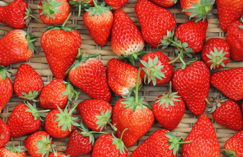 国内哪的草莓最好吃?