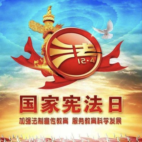 金豆豆智晟幼儿园 12.4宪法活动 家长宣传篇