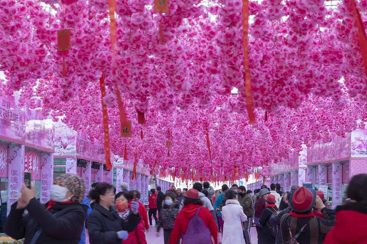 2021年3月18日,吉林,首届浪漫樱花"花神季"美食集市在昌邑万达广场