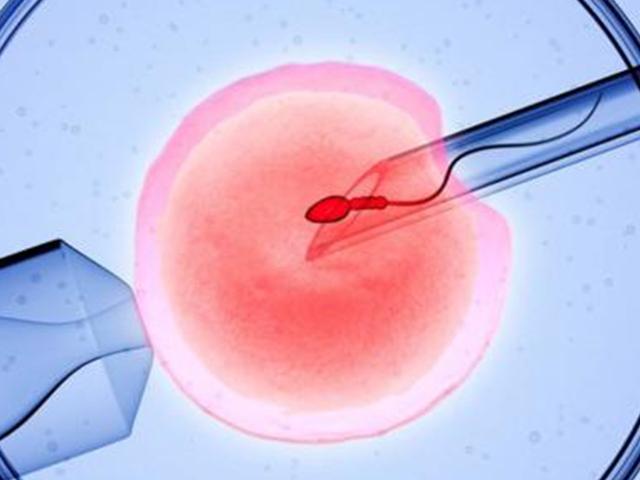 岁的女性还能不能做试管婴儿需要检查女性的卵巢功能,还能不能产卵同