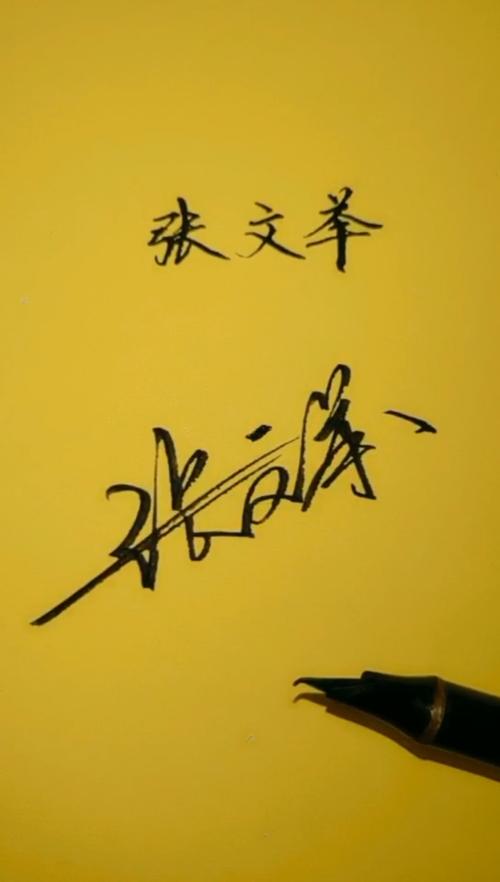 手写签名设计#张文举的艺术签名设计好了.你留名我来写