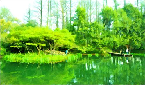 杭州太子湾公园的水粉画!