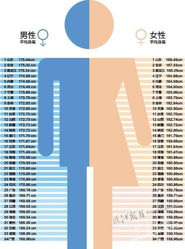 男性平均身高169.63cm,女性平均身高159.53cm