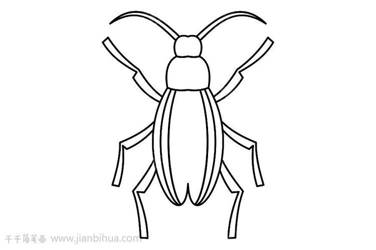 甲虫怪兽简笔画 简笔画图片大全-蒲城教育文学网