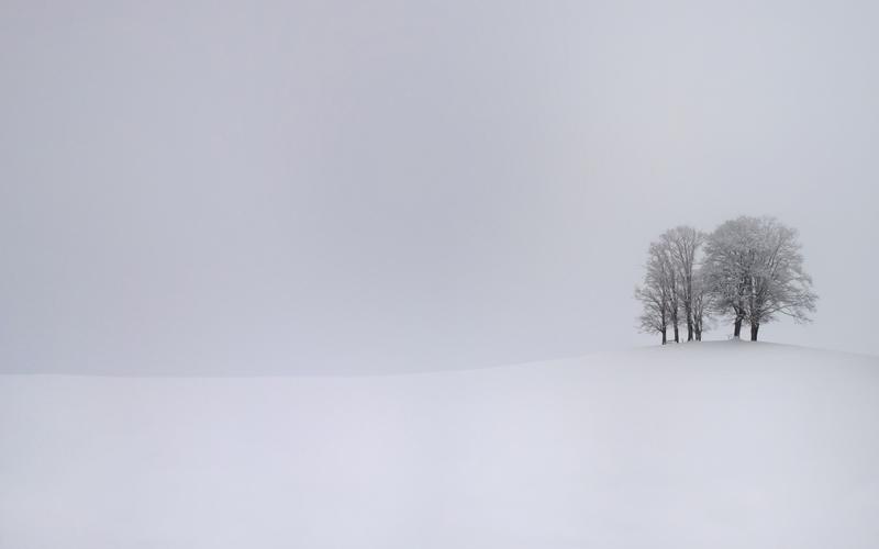雪,冬天,性质,树木,小山,单色,阴云密布的壁纸