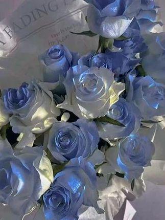 玫瑰#克莱因蓝 当然玫瑰坠入克莱因蓝的海,未曾谋面的也会相遇#小渔