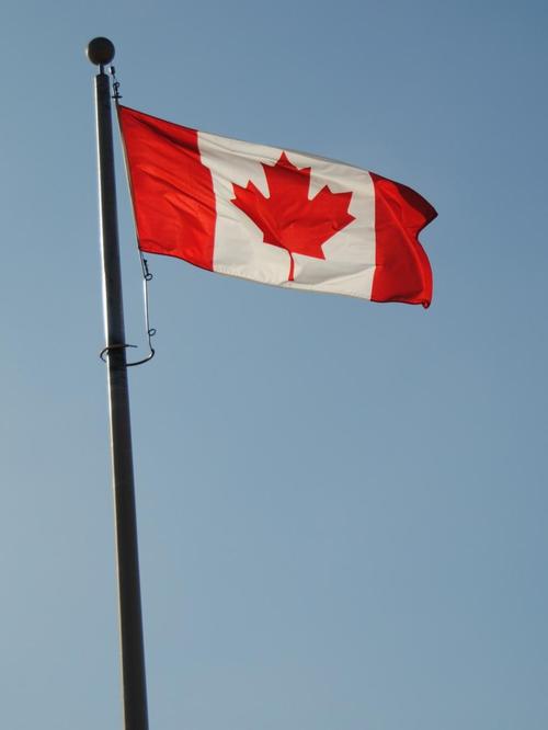 国旗,加拿大,国家,国家,国际,国家,风