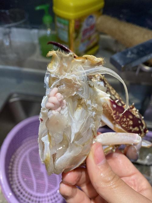 梭子蟹的这个东东是啥啊能吃吗