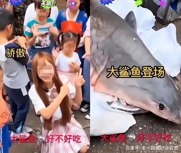 女网红吃"鲨鱼"后续:警方确定是濒危大白鲨,她是否犯罪了?