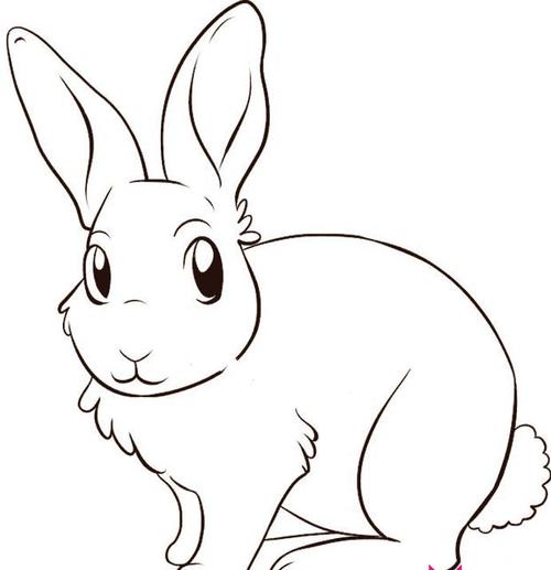画小兔子的简笔画_动物简笔画_简笔画大全