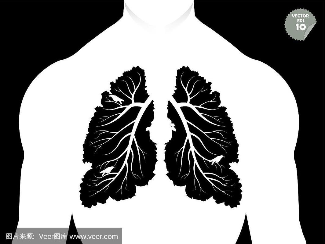 美丽的图形设计概念肺像树枝和树叶,概念图形的人肺像树