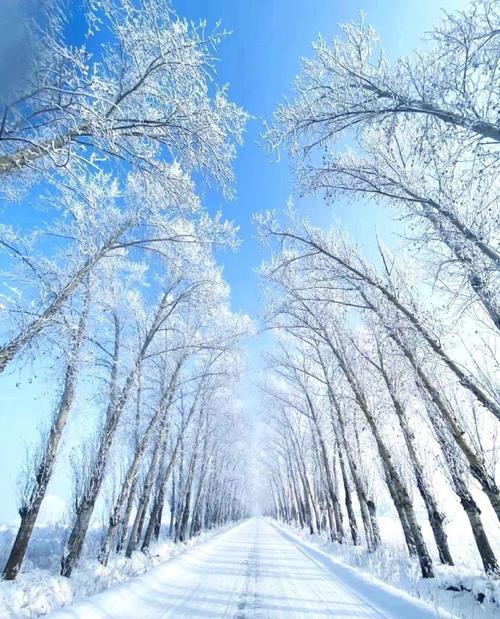 一起享受大自然的美#冬天该有的样子##雪景美如画