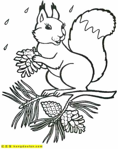 12支可爱的跳跃着的大尾巴小松鼠卡通涂色简笔画