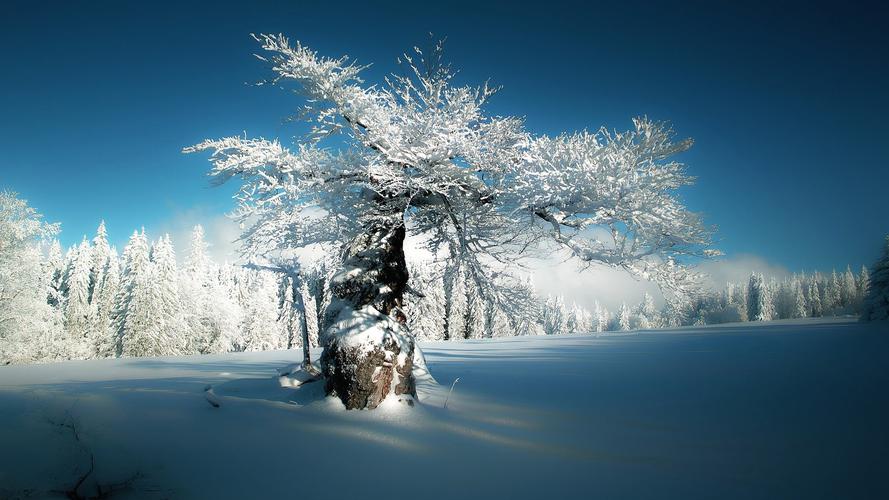 德国巴伐利亚雪景图片桌面壁纸