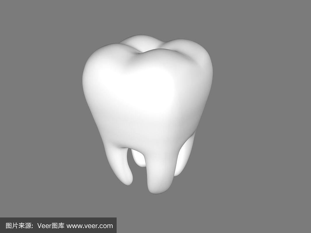 牙齿三维模型