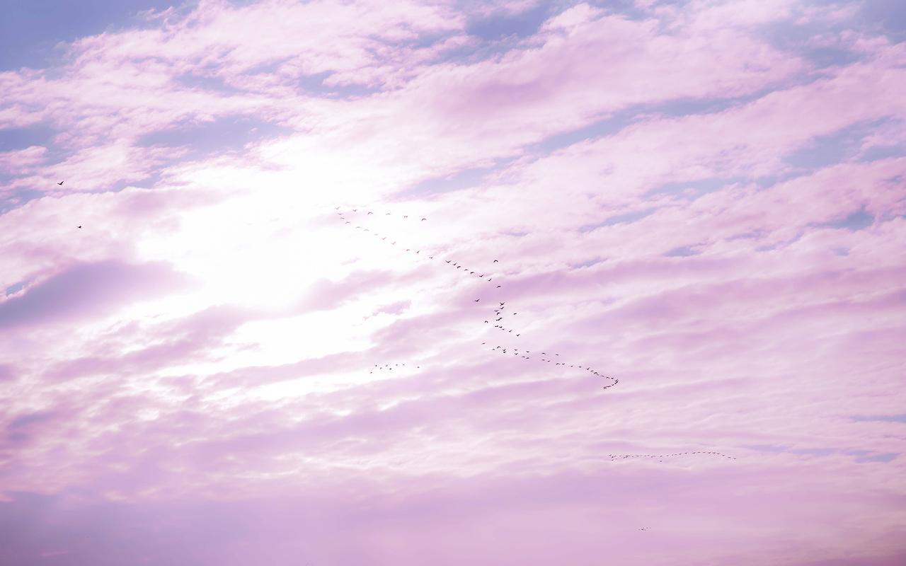 少女心粉紫色天空风景桌面壁纸