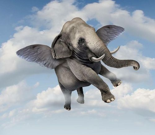 飞行的大象与海森堡的"不确定性原理"