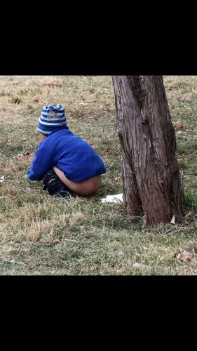 在公园,一个四五岁的小孩在草地上大便.