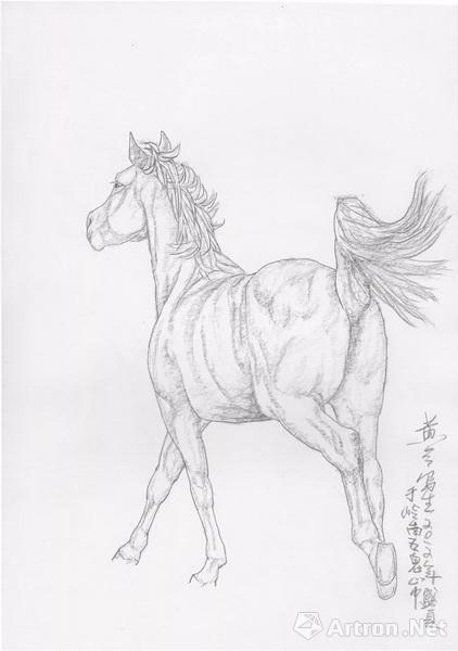 马的简笔画素描