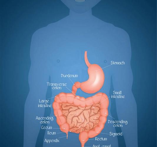 胃癌主要是发生在胃的恶性肿瘤,非常常见,胃窦部位最为高发,其次才是
