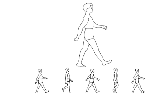 flash → 人侧面走路动画制作与走路动作分解