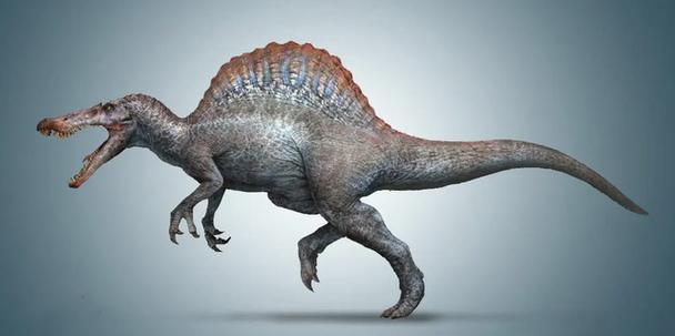 南方巨兽龙最大的特点就是脑袋大,长有一个方形的
