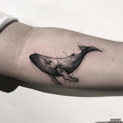 手臂黑灰飘针鲸鱼纹身图案
