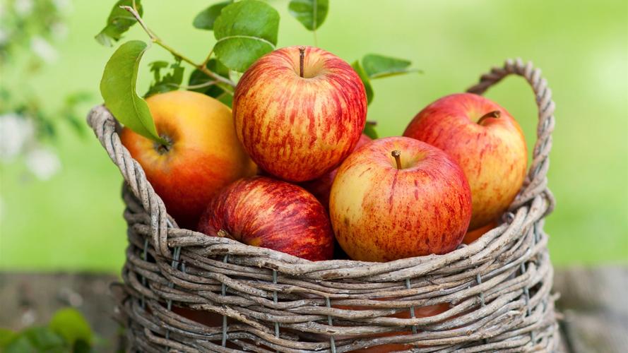 首页 其它 水果 红苹果,水果,篮子 壁纸 下载 1600x900 红苹果,水果