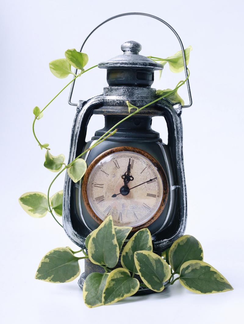 鲜花绿叶和时钟  复古钟表乐器物件可以包括各种古老的钟表和乐器