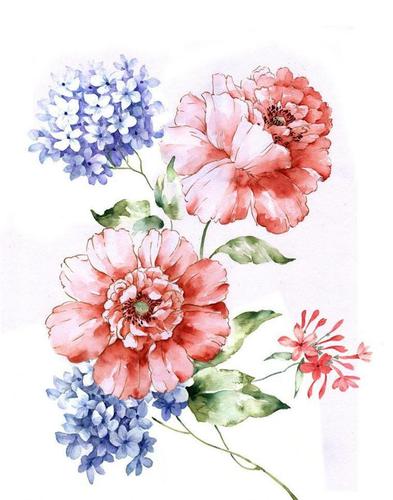水彩画各种花卉,高清图片,免费下载 - 绘艺素材网