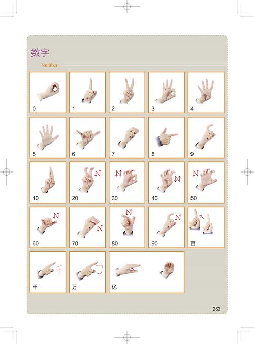 聋人网著 聋哑人听障教材书籍 哑语 手语基础教程书 中国手语日常会话