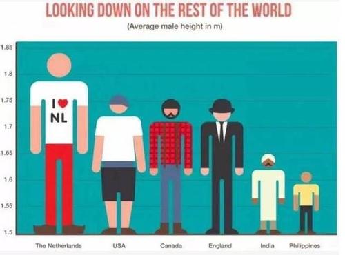 荷兰男性的平均身高为183cm,荷兰女性的平均身高为170cm,也是世缴上