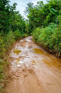 在越南的丛林的土路泥照片