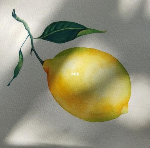柠檬画画水彩美食柠檬水彩临摹