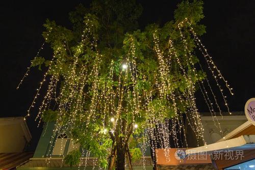 装饰性户外串灯挂在树上的花园在夜间时间装饰圣诞灯新年快乐