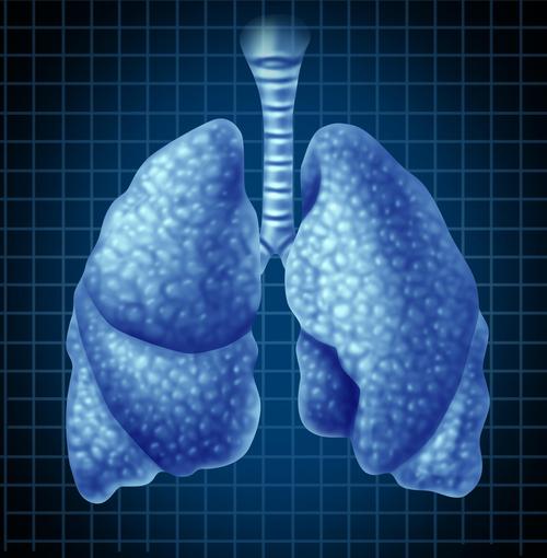 肺部健康素材-肺部健康图片-肺部健康素材图片下载-觅知网
