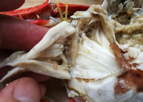 吃货们的福利来了梭子蟹你知道怎么做才好吃吗手把手教你做螃蟹做出来