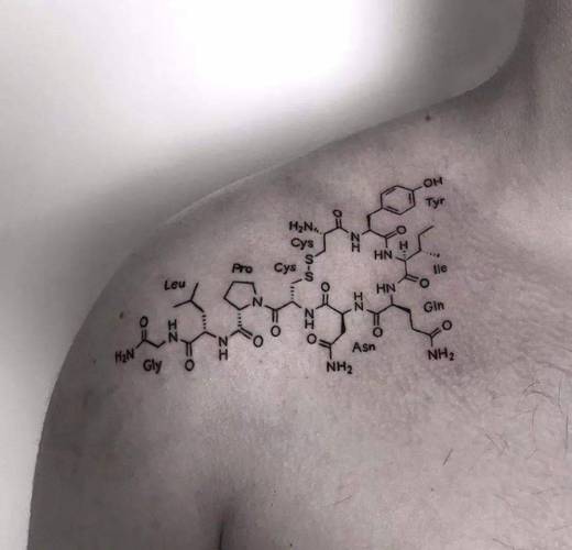 有趣的化学纹身
