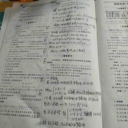 高一十班王晨曦的数学作业