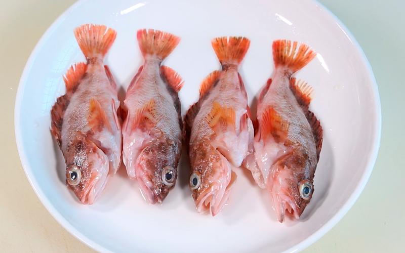 「生滚虎头鱼」不会做鱼汤的看过来,营养美味在等你.