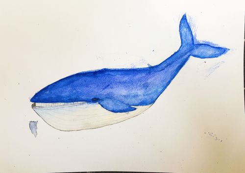 水彩画鲸鱼