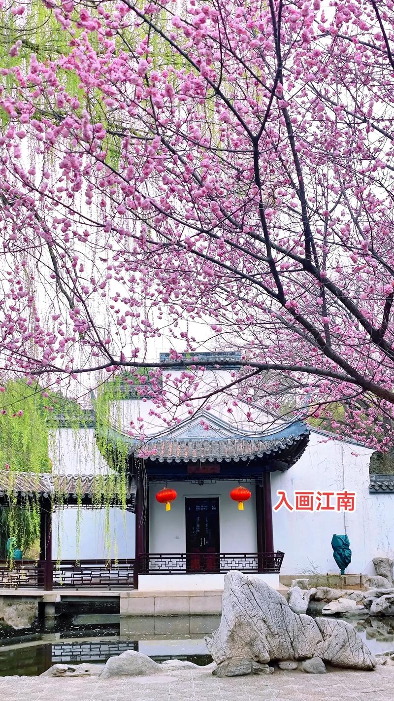 不出北京就能到江南,紫竹院公园江南春韵.#图文伙伴计划 #春 - 抖音