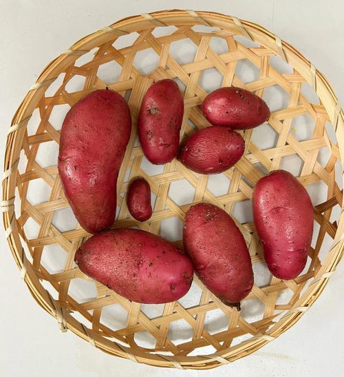 秘鲁红土豆