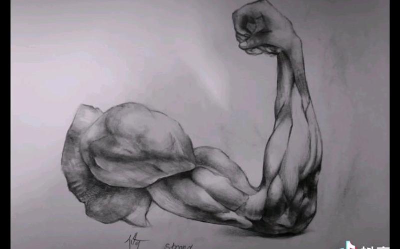 《strong arm muscles 》不会画肌肉的肌肉男不是好画手!