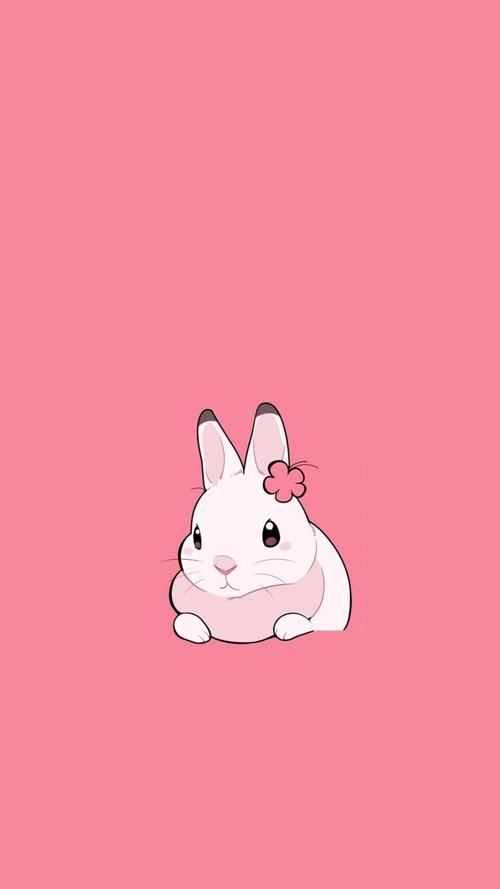 简约可爱萌兔子