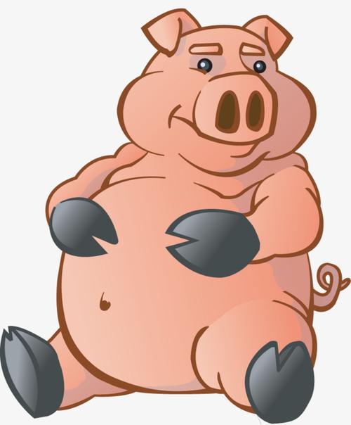 肥胖的猪