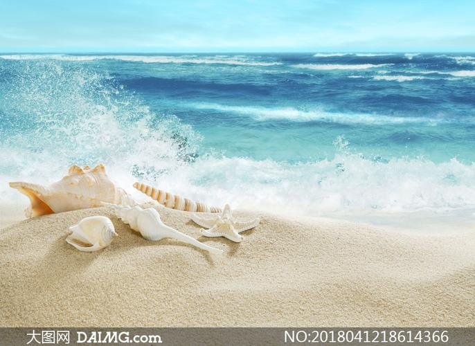 沙滩贝壳与海边的浪花摄影高清图片