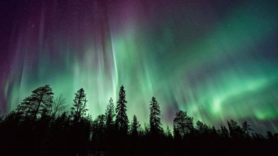 北极光 夜晚 天空 星星 树林 风景壁纸图片